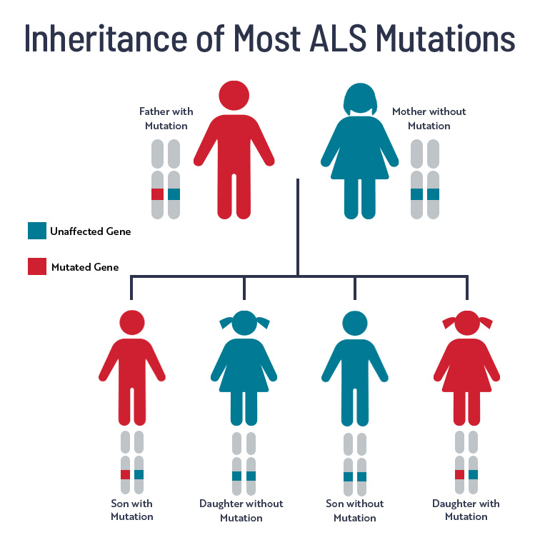 Inheritance of Dominant Mutations