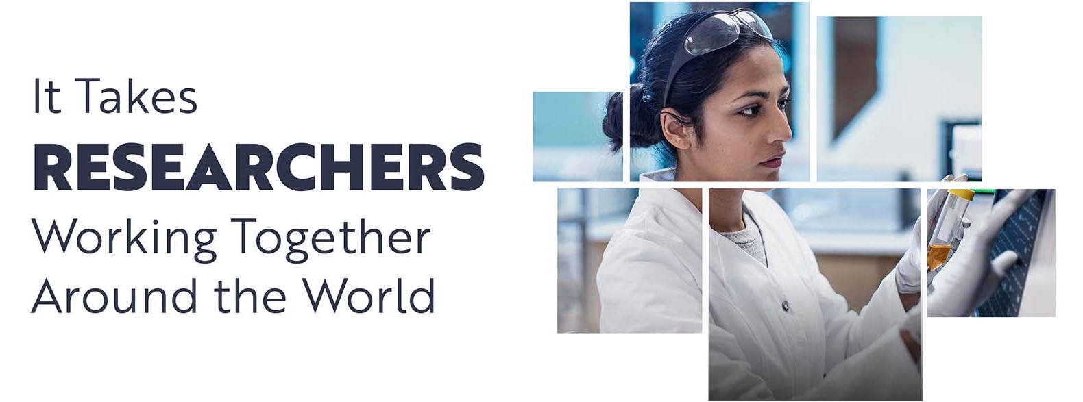 It Takes Researchers Working Together Around the World