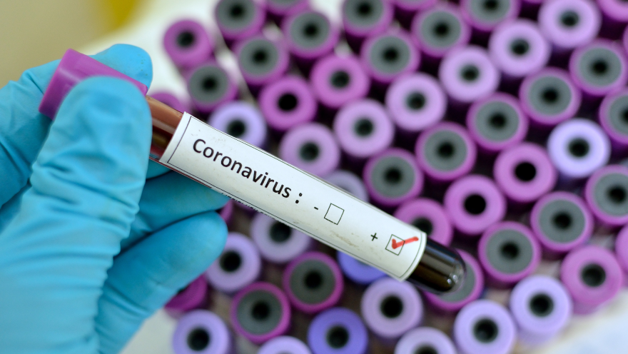blog-post-Coronavirus-letter-header-031720
